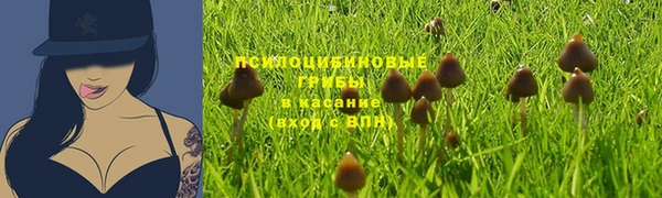 молекула духа Алзамай