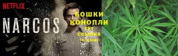 бошки Алексеевка