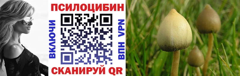 сколько стоит  Себеж  Галлюциногенные грибы Magic Shrooms 
